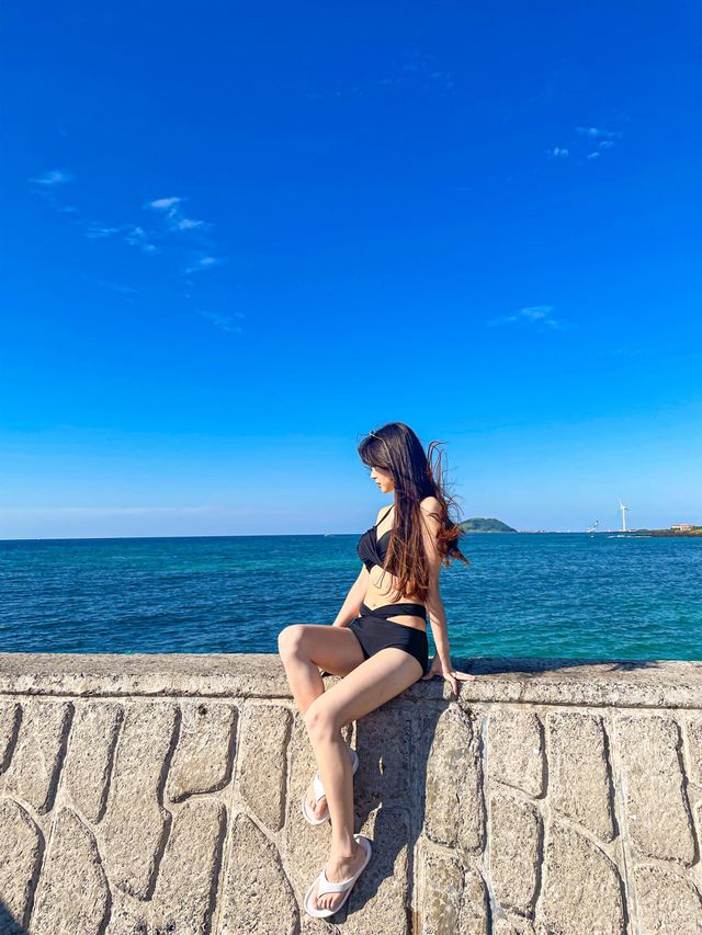 제주판 요시고! 판포포구