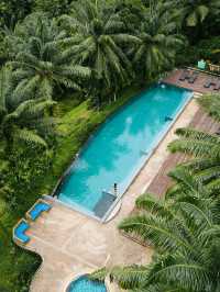 必試性價比極高森林resort