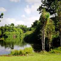 The Singapore Botanic Gardens