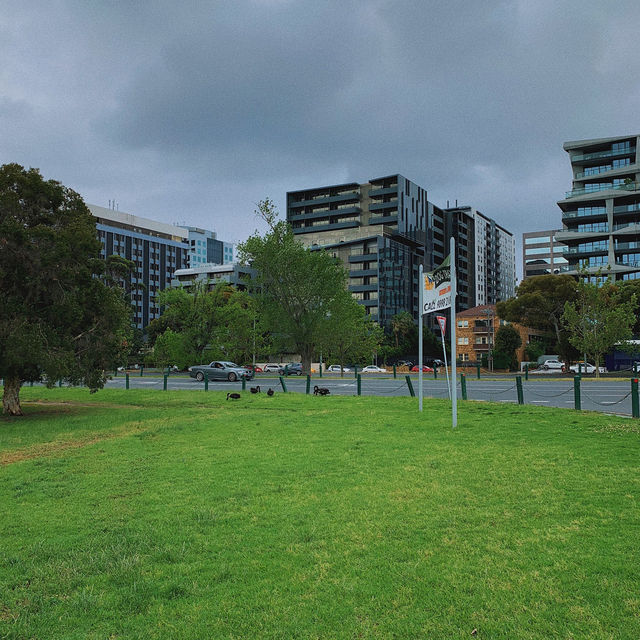 Albert Park 💙 멜버른에서 피크닉해요