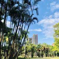 風光明媚🪷🌤Daan Forest Park 大安森林公園