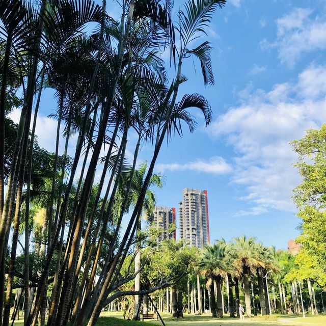 風光明媚🪷🌤Daan Forest Park 大安森林公園