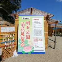 兵庫県！明石の菊花展覧会は素晴らしい