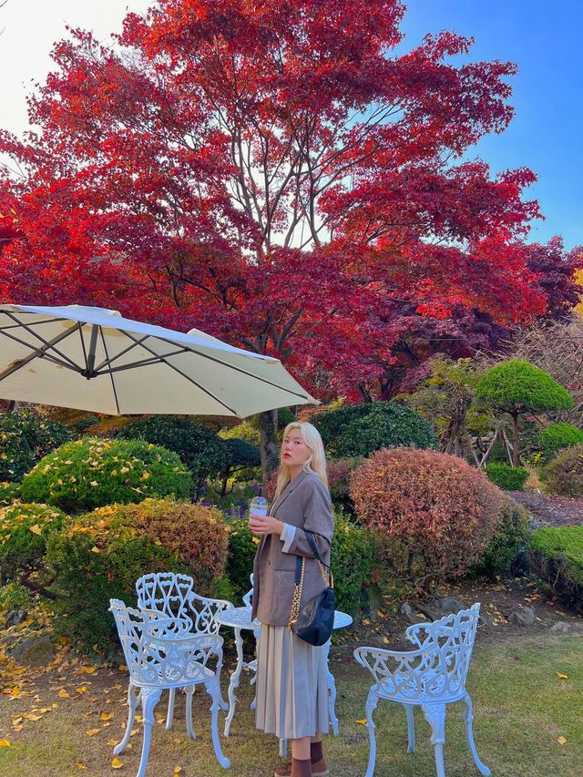 화담숲근처 숲속카페☕️