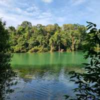 The Macritchie Petai Trial - Photo Ed