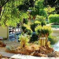 Lovely Rockhampton Botanic Garden