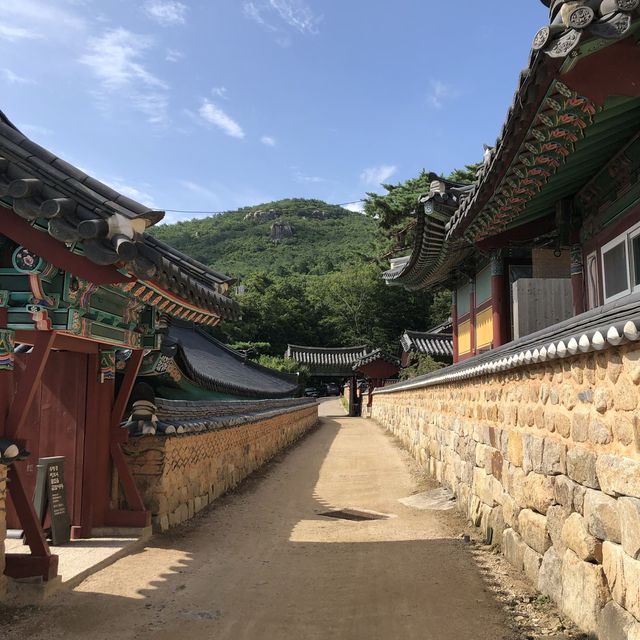 [부산] 녹음 푸르른 범어사