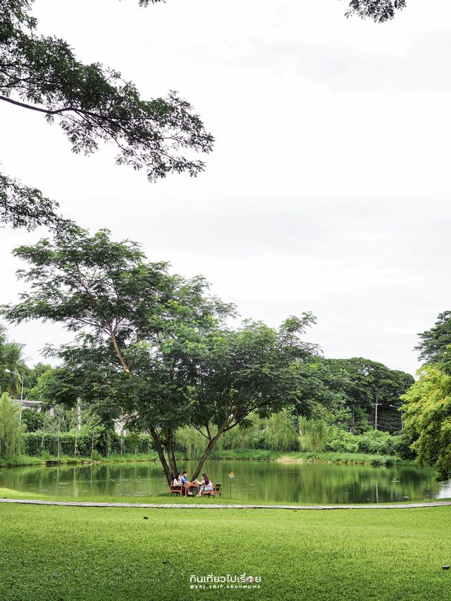 🍃Mulberry Mellow คาเฟ่ในสวนสุดร่มรื่นแห่งเมืองกาญ