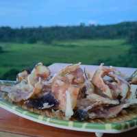 The Beauty of Cadiz City