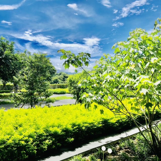 風景美好的Courtyard by Marriott Taipei 台北六福萬怡