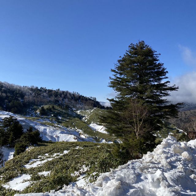 雪景色の万座温泉・空吹