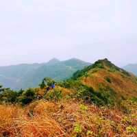 飛鵝山