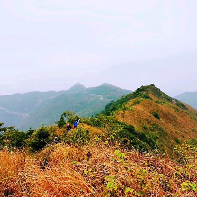 飛鵝山