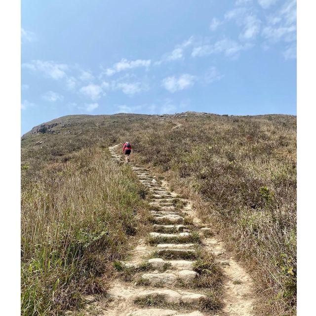 征服香港第二高山峰⛰️-鳳凰山