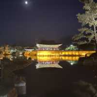 경주 혼자여행&뚜벅이 여행🚶‍♀️
