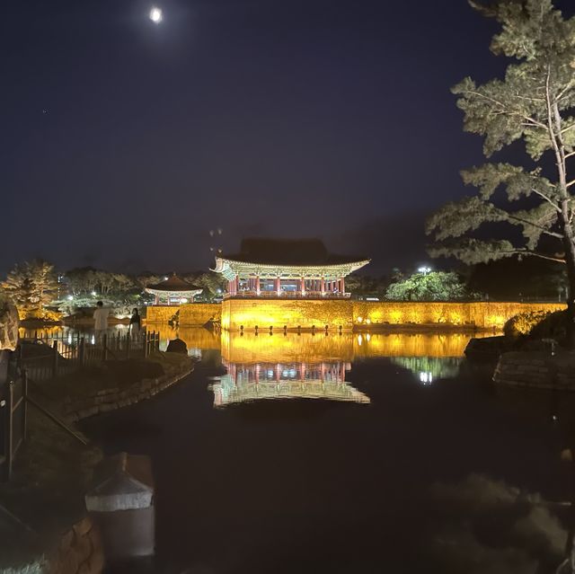 경주 혼자여행&뚜벅이 여행🚶‍♀️