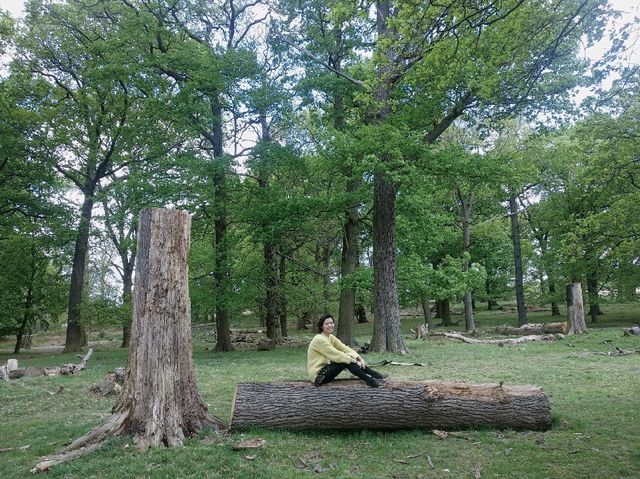 倫敦近市超大鹿公園