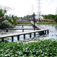 นาบ้านเราคาเฟ่ ฉะเชิงเทรา