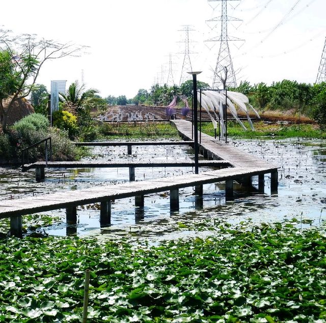 นาบ้านเราคาเฟ่ ฉะเชิงเทรา