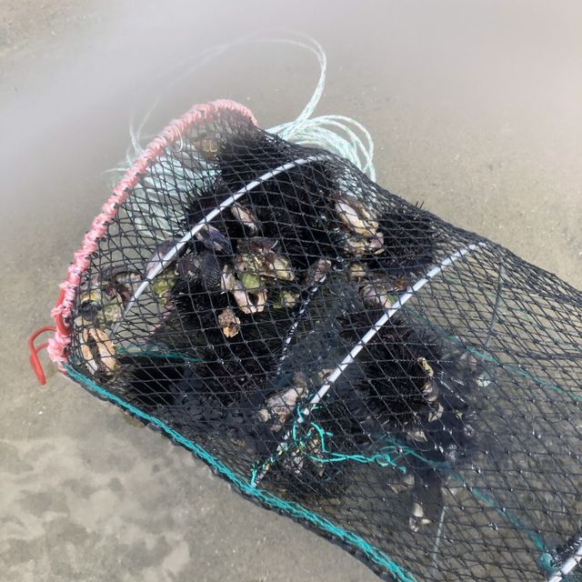 양양 남애항에서 즐긴 물놀이🌊 그리고 횟집 추천!