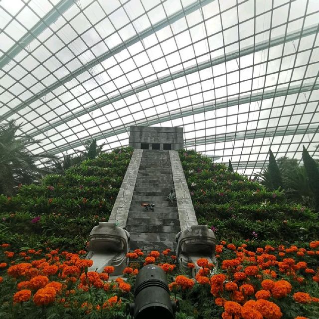 Hanging Gardens Mexican Roots