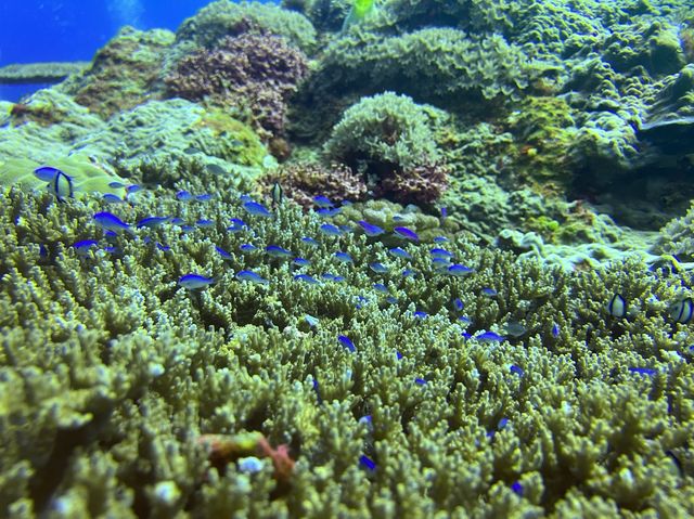 世界三大海底溫泉-綠島