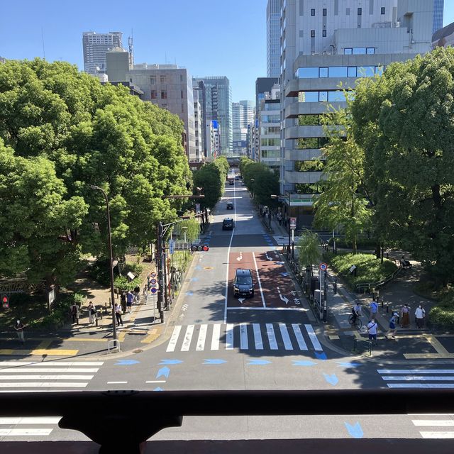 増上寺で「三解脱門」が11年ぶりに特別公開