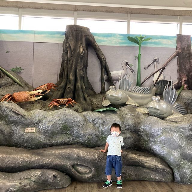 《親子活動～暢遊天水圍濕地公園》