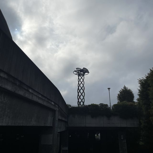 【横浜】スポーツの秋！日産スタジアム