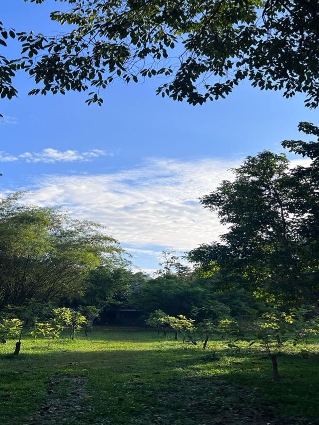 รีวิวที่พักย่านแม่แตงบรรยากาศร่มรื่นเปิดให้พัก24ชม
