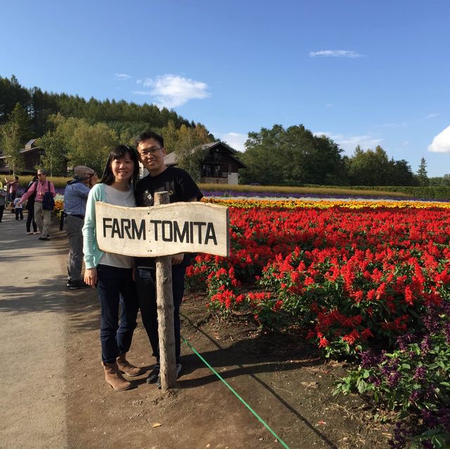 I love Farm Tomita 