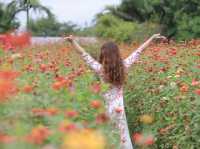 Flower Garden | Hanoi Vietnam
