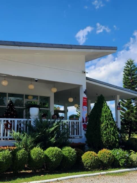 ร้านกาแฟ  สวนสน cafe  ที่แม่แตงเชียงใหม่
