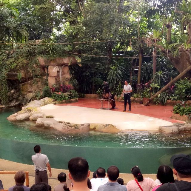Campany Family Day @ Singapore Zoo
