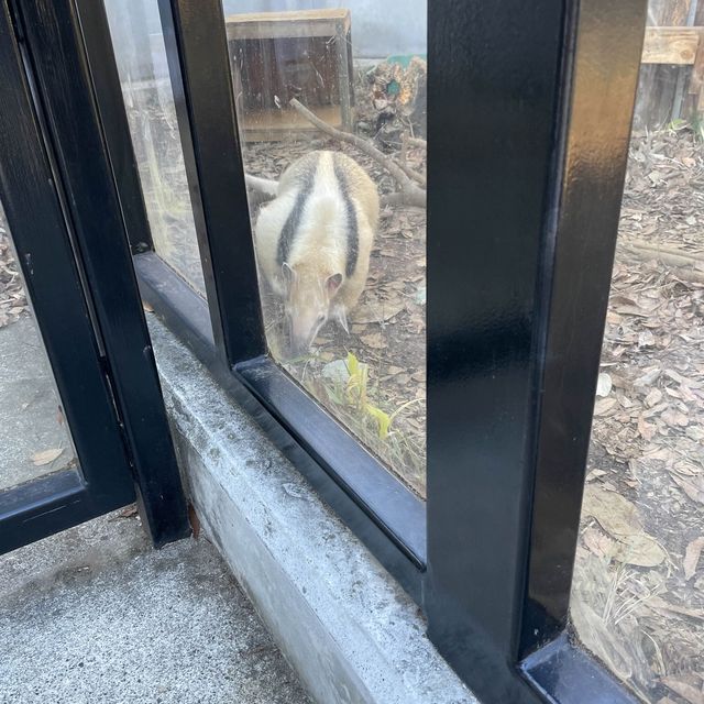 何度行っても楽しめる！無料の動物園♪