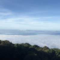 กิ่วแม่ปาน ดอยอินทนนท์⛰️🍃