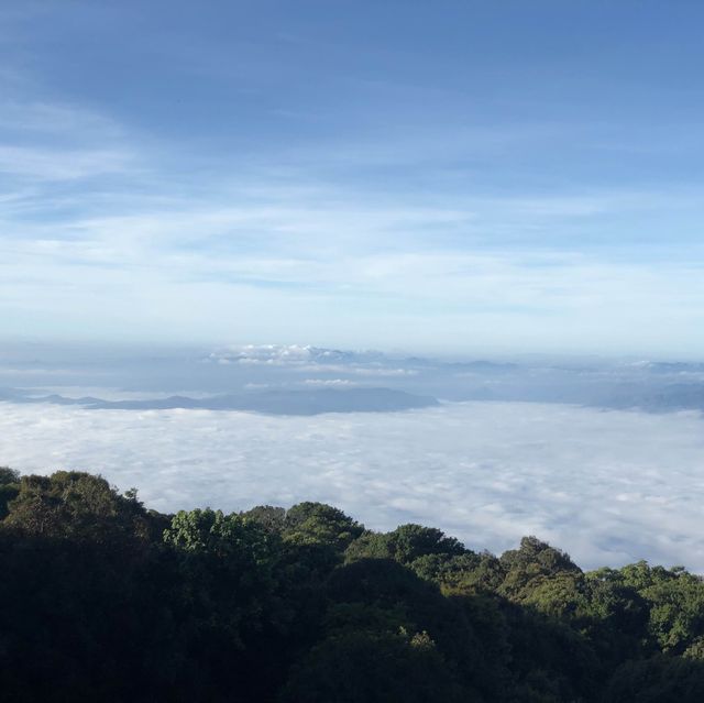 กิ่วแม่ปาน ดอยอินทนนท์⛰️🍃
