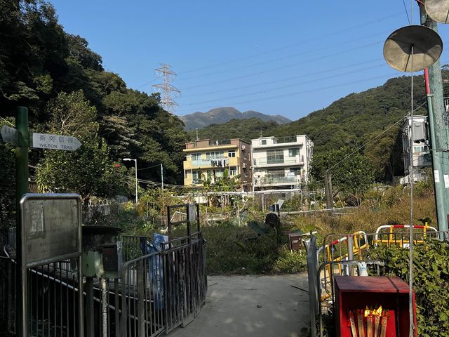 井欄樹村隱世親子活動、燒烤、紮營