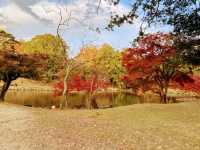 紅葉の隙間から…