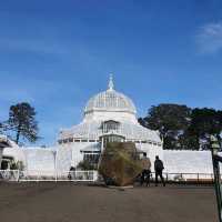 샌프란시스코 여행기 - Golden Gate Park