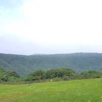 산책하기 좋은 곳 [산굼부리]