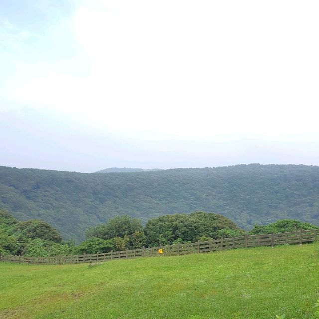산책하기 좋은 곳 [산굼부리]