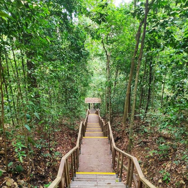 Macritchie Treetop Walk