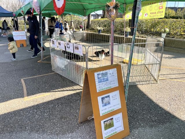 岐阜県🐏🐔💓【移動動物園　プチZOO】