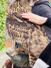 【掛川花鳥園】「花と鳥とのふれあい」が楽しめるテーマパーク