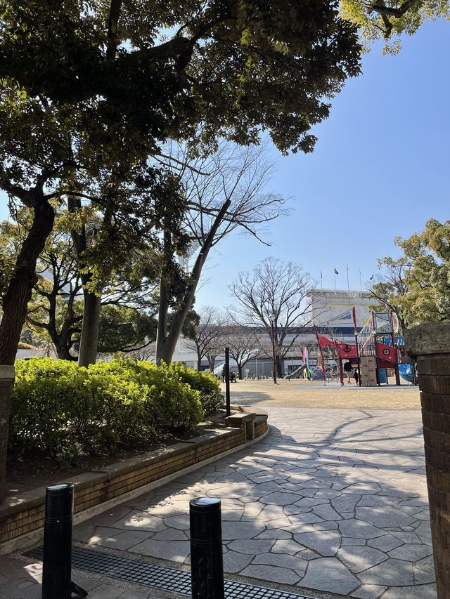 【横浜公園】
