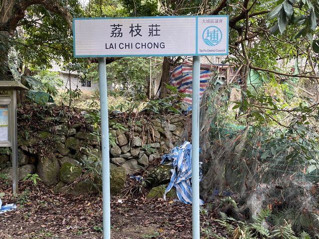 前往出發荔枝莊，享受寧靜香港另一面
