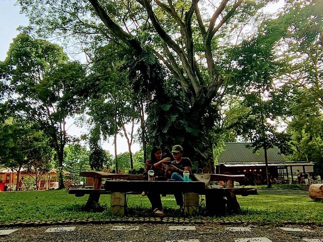 🥂🍹Assana Café @Khaoyai🍵☕️🍰🥐