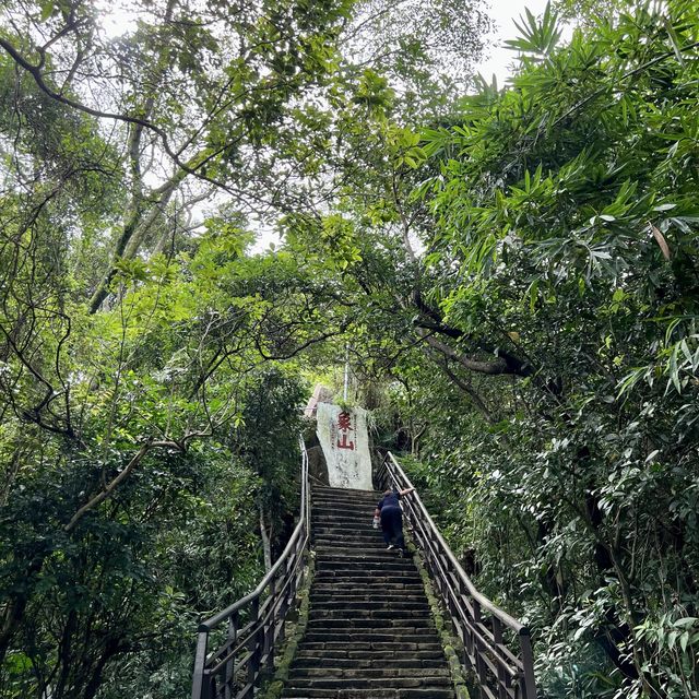 一早登頂象山｜30分鐘搞定、超級爆汗、臺北城市景觀好美
