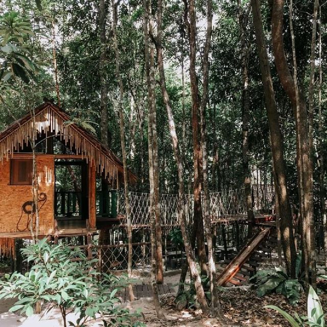 LAE PA CAFE 